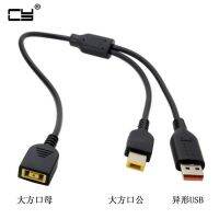 11.0x4.5mm Rectangle Jack Female to Special USB amp; Rectangle Charger Male Cable for Lenovo thinkpad for yoga3-14 yoga900 700