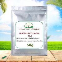 Hangthink 50-1000G  FRUCTUS PHYLLANTHI Yuganzi Extract 30:1,Free Shipping