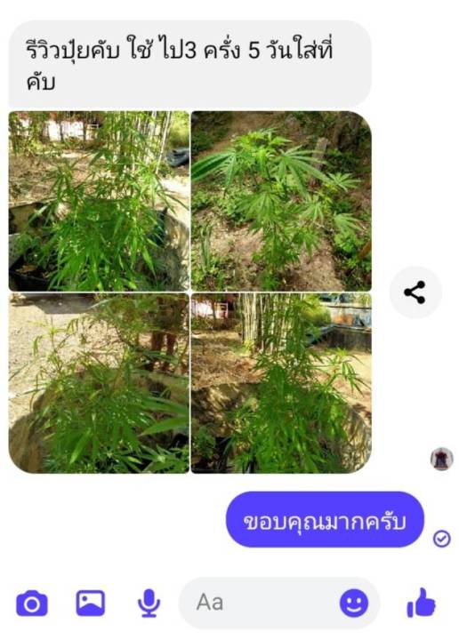 ปุ๋ยน้ำกันชา-ที่ดีที่สุด-20ลิตร-fertilizer-organic-npk-สูตรออแกนิค-ซื้อปุ๋ยเเถมเมล็ด-fertilizer-organic-420-1000ml-สูตรออแกนิค-100-ไร้สารเคมีปลอดสารพิษ