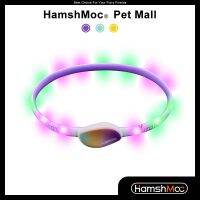 HamshMoc LED ปลอกคอสุนัขชาร์จ USB,ปลอกคอสัตว์เลี้ยงกันน้ำสำหรับเดินกลางคืนสว่างมากมองเห็นได้ชัดเจนสร้อยคอเรืองแสงป้องกันการสูญหาย