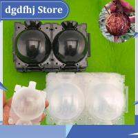 Dgdfhj Shop 20pcs Plant Rooting Ball fruit tree Root grow box plastic case Box Grafting Rooter Growing High-pressure transparent black pot