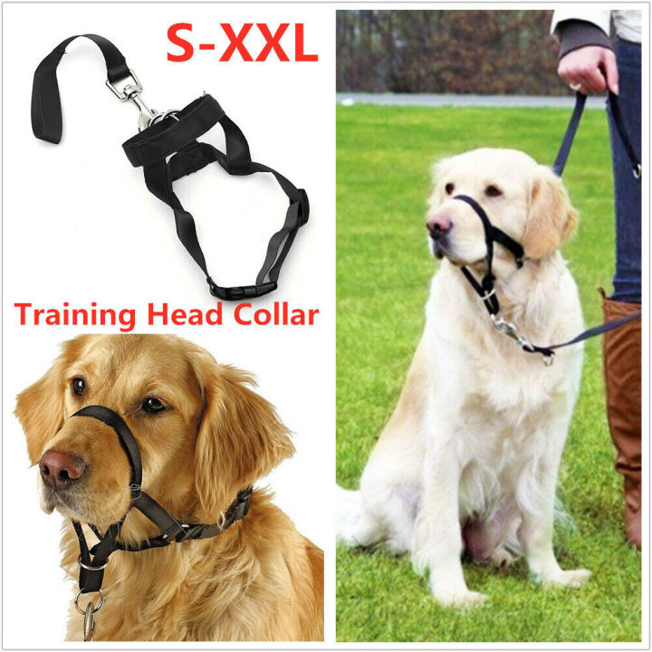 leader-training-gentle-collar-head-halter-dog-dogalter