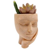 【CC】 NEW Girl 39;s Face Pot Succulent Flowerpot Figure Garden Tabletop Ornament