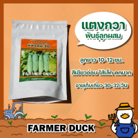 แตงกวา แสงชัย 30 F1 เมล็ดแตงกวา เมล็ดพันธุ์แตงกวา ลูกผสม ผลยาว 10-12 ซม. ไส้เล็ก ปลูกง่าย ติดผลดกมาก สีเขียวอ่อน โฮมซีดส์ บรรจุ 50/100 กรัม