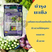 อินวอยซ์ พลัส สูตรเฉพาะมะเขือ(ฮอร์โมนบำรุง) 1.kg / 400g.ช่วยการเจริญเติบโต ฝักสวย ติดตอกดก ผลผลิตสวย สีสันดี พืชตระกูลกะหล่ำ
พืชหัว หอม แครอท มันฝรั่ง สับปะรด
อัตราที่ใช้ 10-20 กรัม/น้ำ 20 ลิตร
วิธีการใช้ ควรพ่นให้เป็นละอองเล็กๆ พอเปียกทั่วทั้งใบ พร้อมส่ง