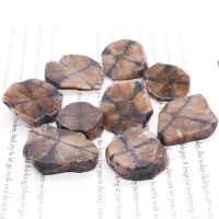 Natural Chiastolite Quartz Crystals And Healing Stones Tumbled Bulk Mineral Specime Gemstones Home Aquarium Decoration Wholesale Nails Screws Fastener