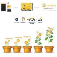 Modela Smart Control สำหรับทำ Smart Farm เซนเซอร์วัดค่าและควบคุมผ่านมือถือ