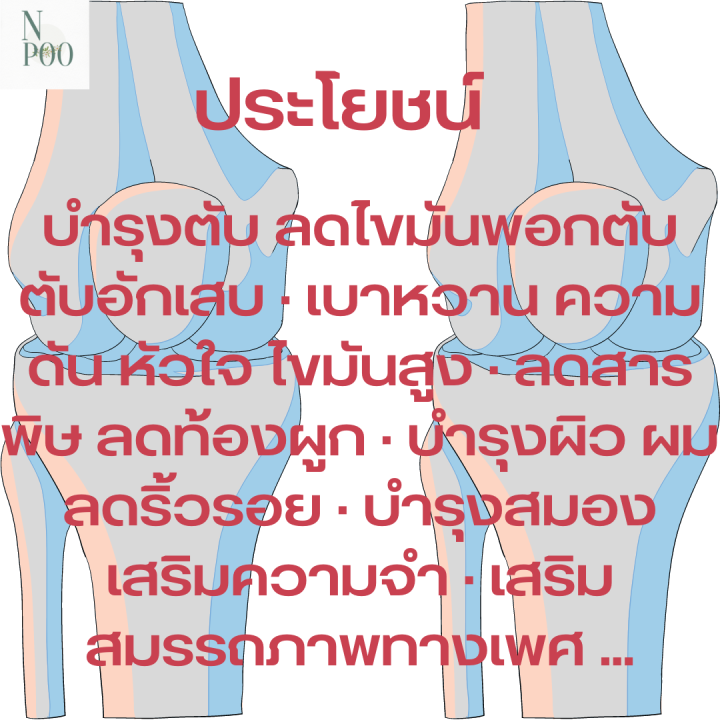 giffarine-collastin-กิฟฟารีน-คอลลาสติน