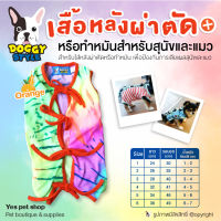 Doggy Style เสื้อหลังผ่าตัด สุนัขและแมว รุ่นNeon สีส้ม ชุดหลังผ่าตัด เสื้อกันเลีย Size 1-6 (แบบตัวเลือก) โดย Yes Pet Shop