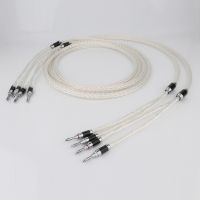 8ag Pure Silver-plated OCC Hifi Speaker Cable Hi-end Speaker Wire for Amplifier and CD