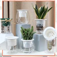 Self Watering Planter Pots Mini Round Design Succulent Plant Pot Home Garden Indoor Modern Decorative Pot Garden Supplies