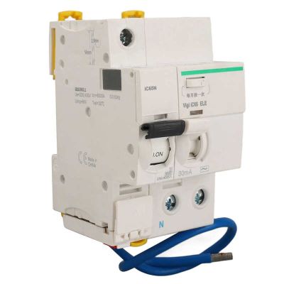【LZ】 Circuit Breaker Switch With Leakage Protection Accessories 1P N AC230V 400V IC65N