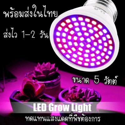 โปรโมชั่น+++ พร้อมส่งในไทย หลอดไฟปลูกต้นไม้ 72 และ 80 LED Grow Light (Full Spectrum) 5 W ราคาถูก หลอด ไฟ หลอดไฟตกแต่ง หลอดไฟบ้าน หลอดไฟพลังแดด