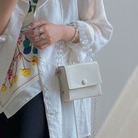 ✱ Small restore ancient ways pearl chain bag female 2022 new summer party package inclined shoulder girl lovely