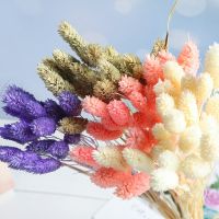 【cw】 New 20Pcs Dried Bouquets Artificial Colorful Lagurus Tail Bunches Ovatus