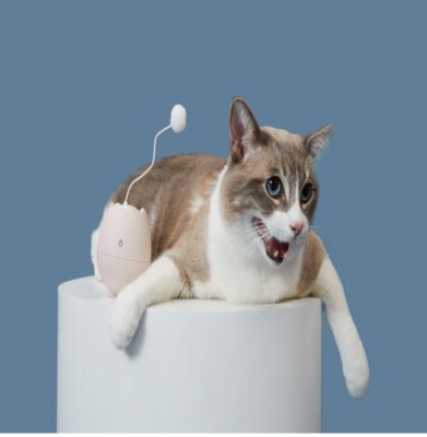 ของเล่นแมวไฟฟ้ารูปทรงไข่หมุนได้ Pet Marvel Eggshell Cat Toys - White