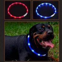 【CW】 Dog Collar Dog Accessoires Yorkshire Terrier Puppy Collar USB Charging Luminous LED Dog CollarAnti Lost Glowing