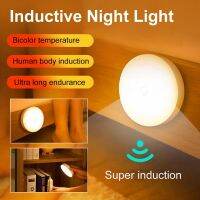 hot！【DT】 Sensor Night Lamp Room Hallway Pathway Toilet Bedside USB Charging Battery Lighting