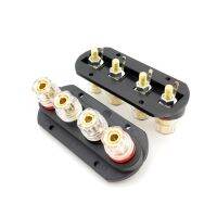 EClyxun 1pcs Speaker Amplifier Output 4 Position Terminal Block Speaker Gold-plated Audio 4P External Banana Socket Connector