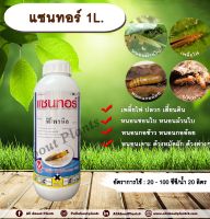 แซนทอร์ 1L.ฟิโพรนิล สารกำจัดแมลง เพลี้ยไฟ หนอนชอนใบ หนอนม้วนใบ หนอนกอ หนอนเจาะ ปลวก กำจัดปลวก ราดปลวก ด้วง ดูดซึม