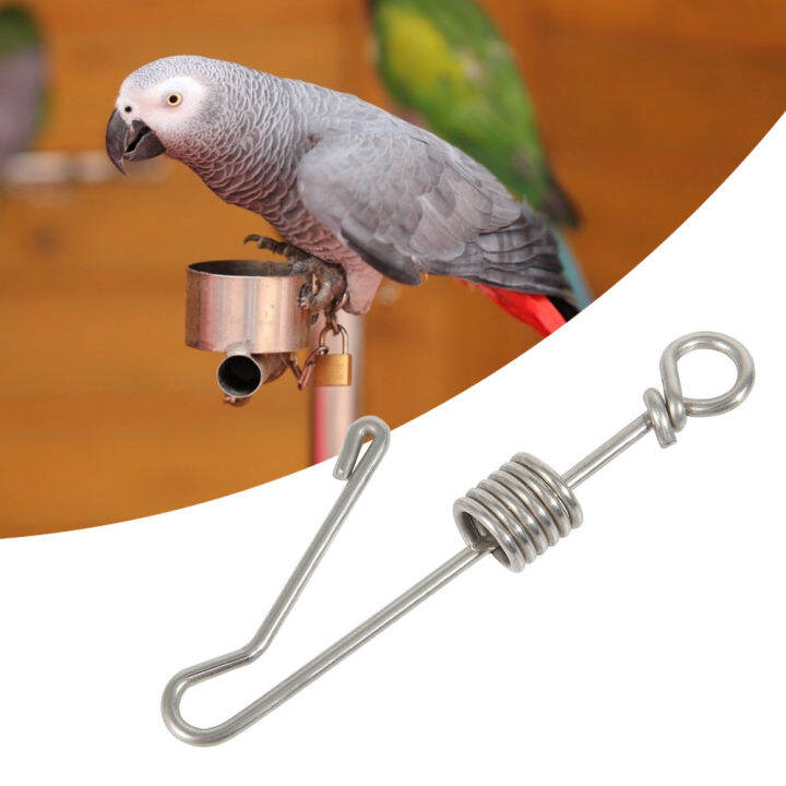 Parrot Anklet Ring Parrot Bird Leg Buckle 3 Sizes for Birds Animals ...