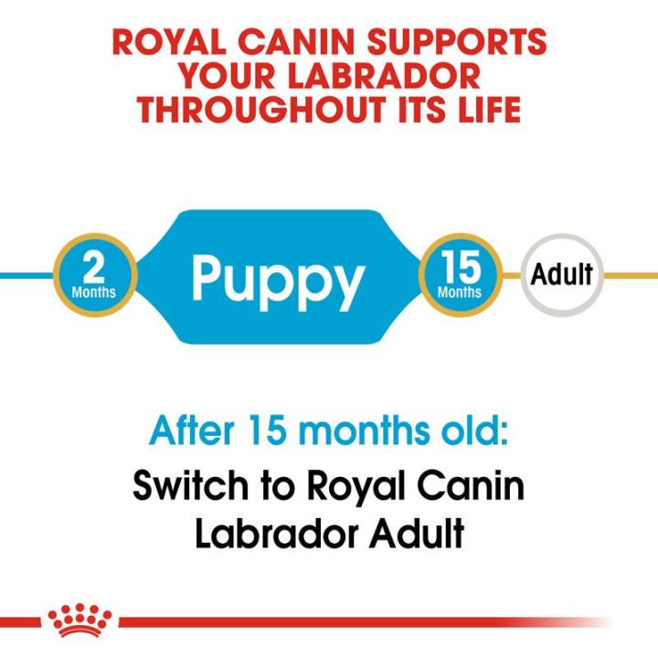 royal-canin-labrador-retriever-puppy-โรยัล-คานิน-อาหารเม็ดลูกสุนัข-พันธุ์ลาบราดอร์-รีทรีฟเวอร์-อายุต่ำกว่า-15-เดือน-กดเลือกขนาดได้-dry-dog-food