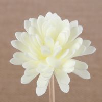 【cw】 10pcs Artificial PE No Aromatherapy Rattan Reed Diffuser Sticks Decoration ！