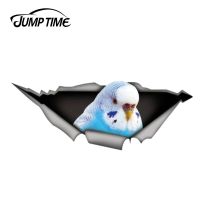 【Clearance】 Jump Time X 4.8Cm Budgie สติกเกอร์รูปนก,รูปลอกโลหะแบบฉีกเป็นรูปสัตว์ป่าขำขันสติกเกอร์รถกันชนหน้าต่างแต่งรถ3มิติ