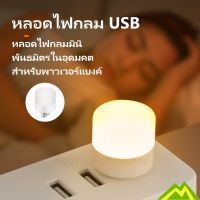 [พร้อมส่ง] หลอดไฟ led หลอดไฟขนาดเล็ก ไฟกลางคืนห้องนอน ไฟกลางคืน led มินิไฟกลางคืน USB ปกป้องดวงตา