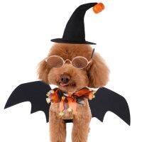 ZZOOI Cat Halloween Costumes 4 Pieces Pet Halloween Costume Wizard Hat Bat Wings For Cat Halloween Party Supplies Dress Up Cosplay