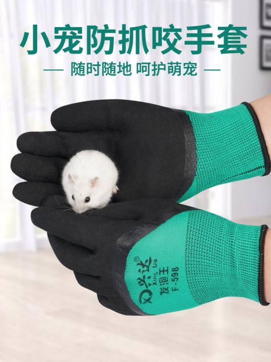 high-end-original-small-pet-anti-bite-gloves-hamster-supplies-childrens-protective-gloves-catch-sea-animals-anti-scratch-cat-golden-bear-parrot