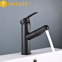 TAICUTE Pull Out Sink Faucets Stainless Steel Basin Faucet Hot Cold Water Mixer Tap Black Bathroom Accessories Hardware