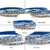 LED Strip Light 12V 24V SMD2835 Flexible Tape LED Lights Non Waterproof PCB width 3mm 4mm 5mm 6mm S shape 8mm 10mm 15mm 5M/roll