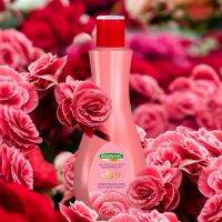 BEBAK HAND&amp;BODY MOISTURIZING ROSE EXTRACT MILK แฮนด์ &amp; บอดี้ มิ้ลค์ วิท โรส เอ็กเทรกซ์ 215 ML (จากตุรกี)