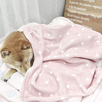 [pets baby] ผ้าห่มสุนัขผ้าสักหลาด