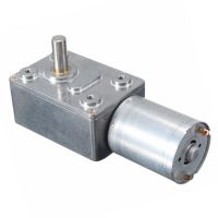 6V 24V Worm Gear Motor DC High Torque Electric Motor Metal Gear Reverse Self Lock For Automation Turbo Geared Gear-box Reducer Electric Motors