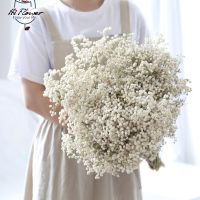 Natural Dried Flowers Preserved Gypsophila Paniculata Baby 39;s Breath Flower Bouquet Wedding Home Decor for Photo Props Decoration