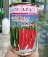 พริกขี้หนู อัมพวาโกลด์ 50 กรัม ตะวันต้นกล้า