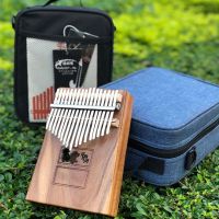 Kalimba ถุงเก็บอเนกประสงค์ mbira ร่างกายนิ้วหัวแม่มือเปียโนกรณีอุปกรณ์เครื่องดนตรีออแกไนเซอร์สำหรับ17คีย์ Kalimba