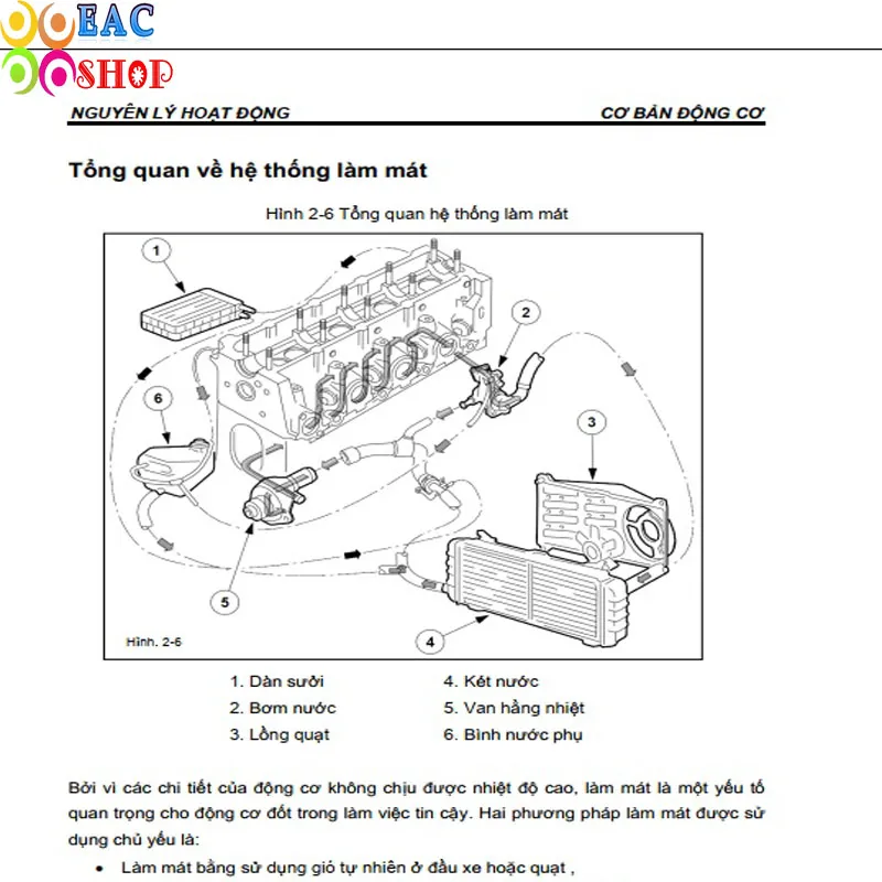 Tài Liệu  Ford TIS 2014 Workshop Manual  Diễn đàn kỹ thuật xe ô tô