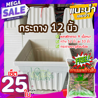 เซ็ต 25 ใบ ฟรี🔸กาบมะพร้าวสับ กระถางต้นไม้ 12” กระถางขาว กระถางปลูกต้นไม้ กระถางกุหลาบ กระถางปลูกบอน กระถางใหญ่ เนื้อดี homes