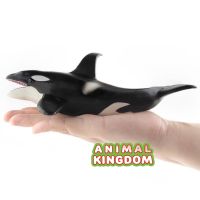 Animal Kingdom - โมเดล Whale ปลาวาฬ เพชฌฆาต ออสก้า TU ขนาด 20.00 CM (จากสงขลา)