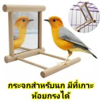 [ส่งฟรี] กระจกนก กระจกนกห้อยกรง ที่นกเกาะ (กระจกนกไม้ขาเดียว)