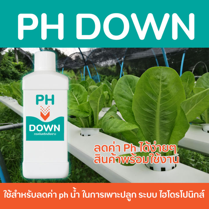 ph-down-ขนาด-500-ml-ลดค่า-ph-น้ำ-เหมาะสำหรับผักไฮโดรโปนิกส์