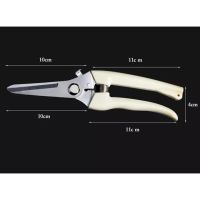 ?สินค้าขายดี? [Thining ปากตรง]♧กรรไกรตัดแต่งกิ่งไม้ กรรไกรตัดกิ่ง HAND PRUNING SHEARS GARDEN SCISSORS อุปกรณ์ทำสวน กรรไกรตัดแต่งพุ่มไม้