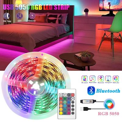 LED Strip Light RGB 5050 Bluetooth APP Control USB Led Flexible Lamp DC 5V Ribbon Diode Tape For Party Room TV BackLight Decor