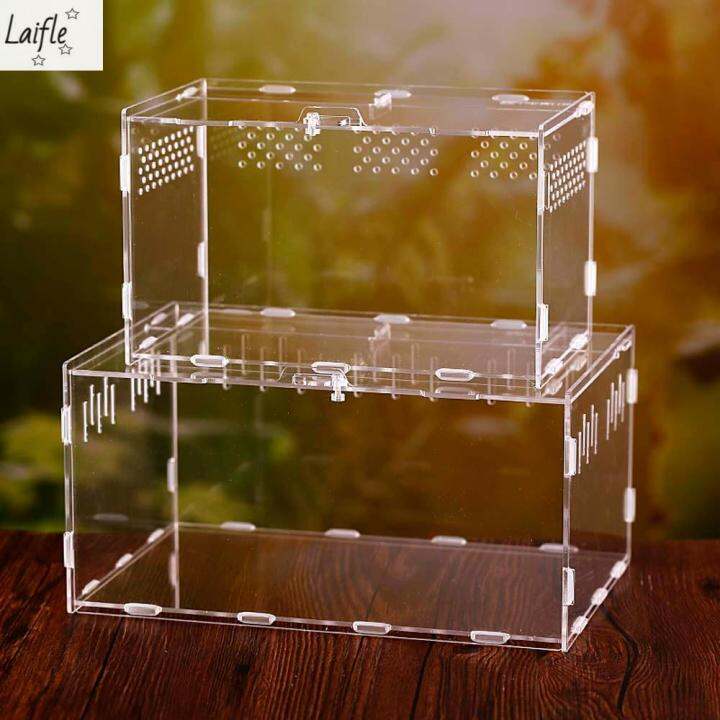 Laifle Reptile Spider Container Snakes Feeding Box Insect Hatcher 