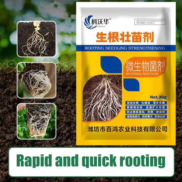 jjmakro Fertilizer for cutting and transplanting, vegetable rooting and
