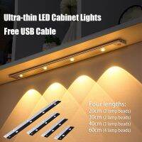 Ultra-thin LED Cabinet Lights USB Rechargeable 3 Brightness Modes Human Body Induction Night Light Closet Corridor Lighting Ceiling Lights