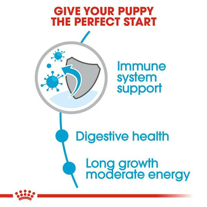 royal-canin-maxi-puppy-อาหารลูกสุนัขพันธุ์ใหญ่-อายุ-2-15-เดือน-15kg